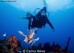 The Flying of two species.. In the rigth moment in the ri... by Carlos Pérez 